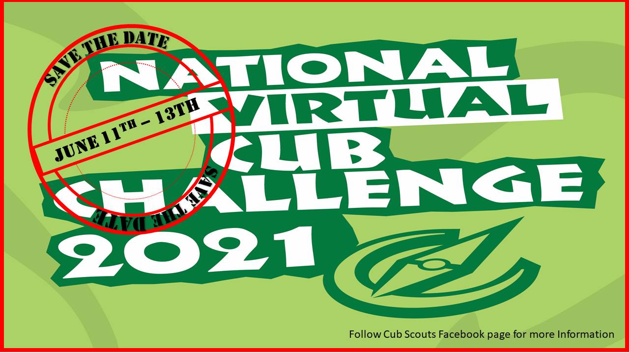 National Virtual Cub Challenge 2021